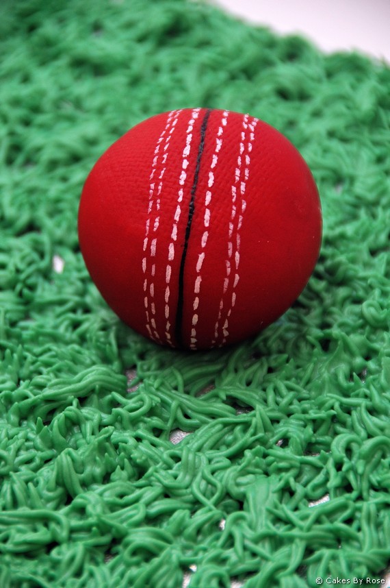 cricket bat ball. Cricket bat cake